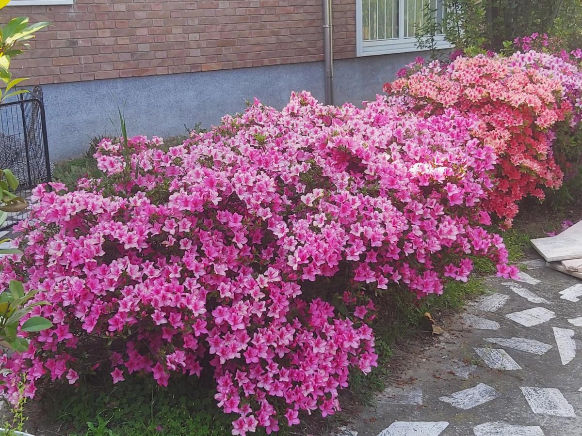 Villa Silvia Olivetti Banchette D'Ivrea Zewnętrze zdjęcie