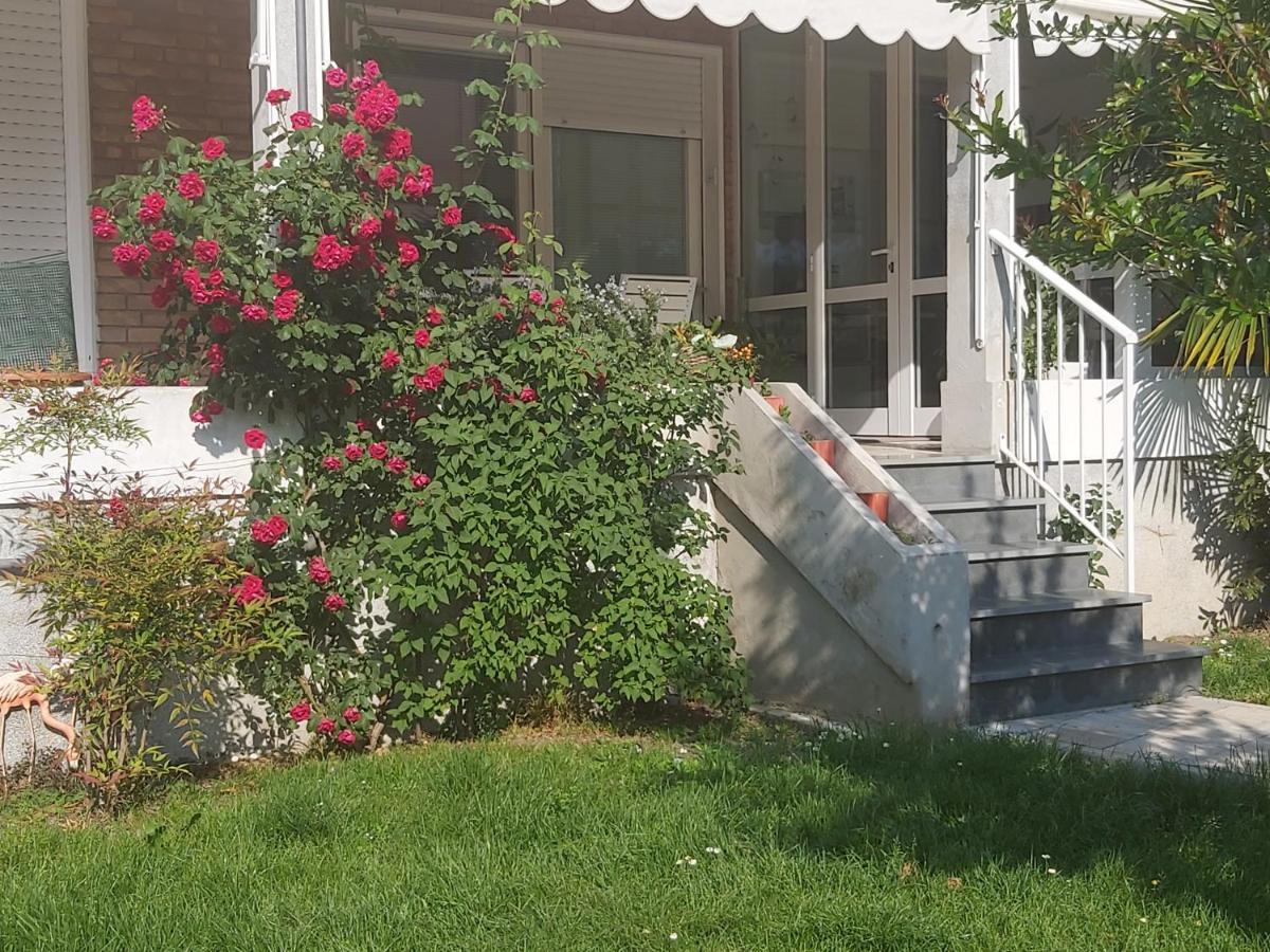 Villa Silvia Olivetti Banchette D'Ivrea Zewnętrze zdjęcie